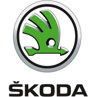 Blocare distributie Skoda